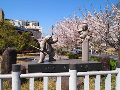 桜の歩き巡り2011・高瀬川編_d0079440_1514454.jpg