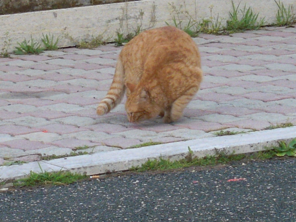 d0170140_19352682.jpg
