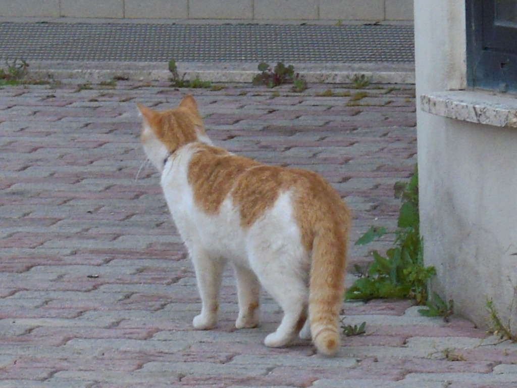d0170140_19374729.jpg