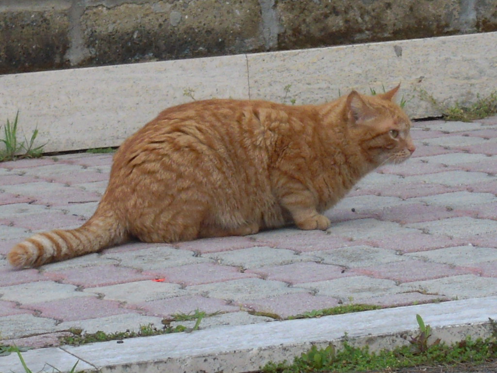 d0170140_19384789.jpg