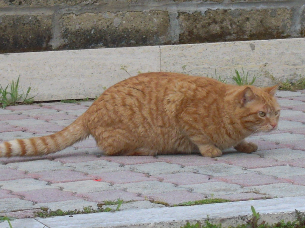 d0170140_19391738.jpg