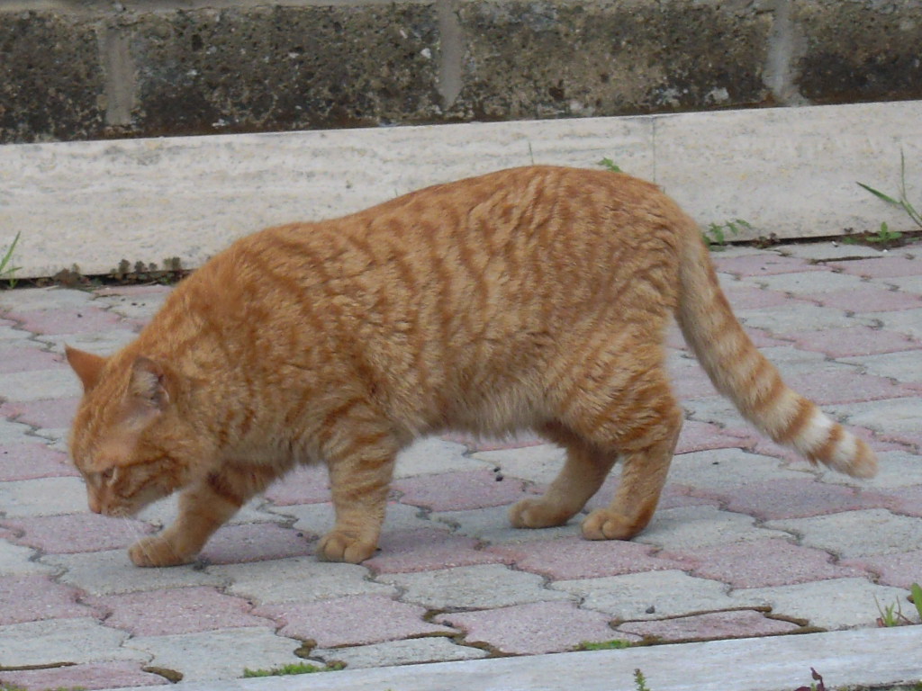 d0170140_19425820.jpg