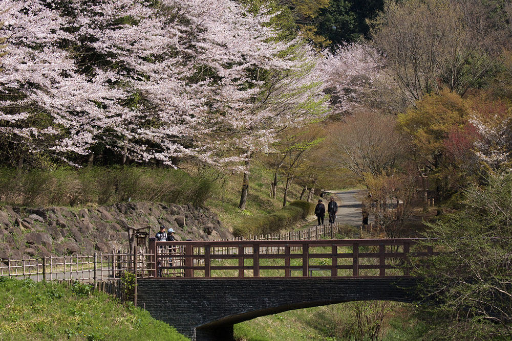 県立公園　「四季の森」　№２_e0140650_030374.jpg