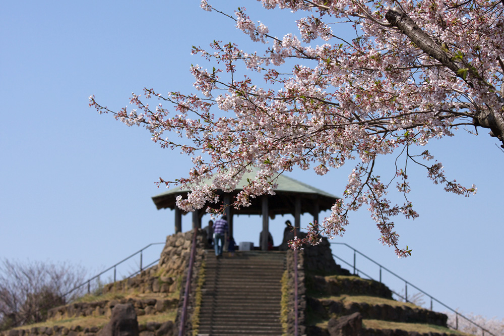 県立公園　「四季の森」　№２_e0140650_083749.jpg