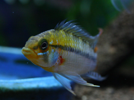 a0162263_2012813.jpg