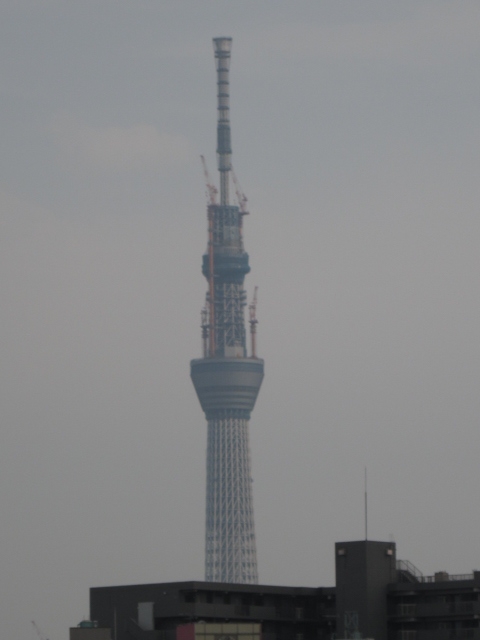 a0157968_17593863.jpg