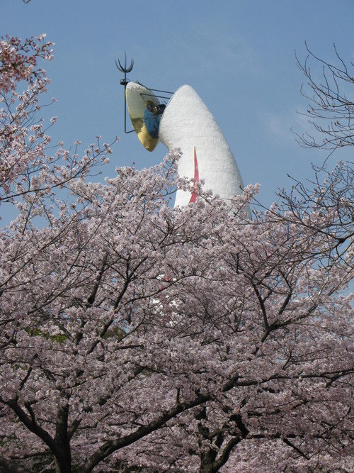 満開の桜・・・_a0114469_1765294.jpg