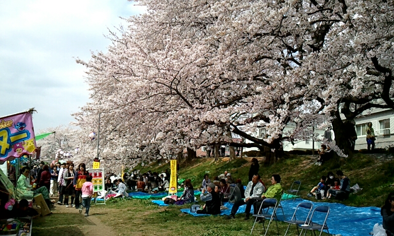 c0128573_21599.jpg