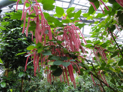 f0170173_2210479.jpg