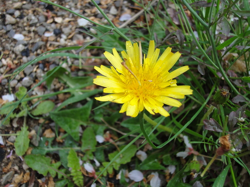f0170173_22141966.jpg