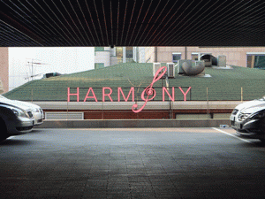 d0013677_1555260.gif