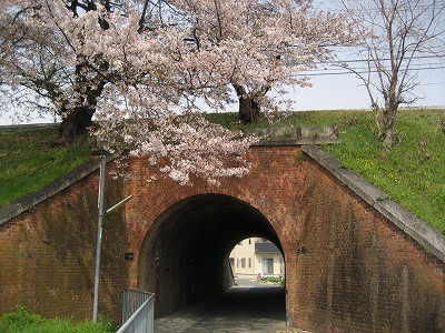 c0229483_13291256.jpg