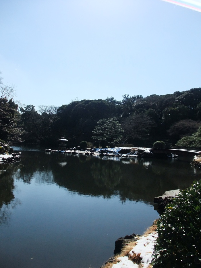 大阪地裁平成23年4月15日判決(患者拘束死事件)_b0206085_19571189.jpg