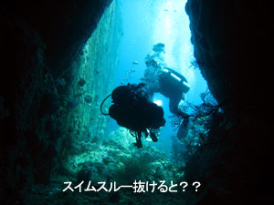久々のシミランは?_f0144385_2131776.jpg