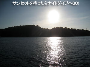 久々のシミランは?_f0144385_215215.jpg