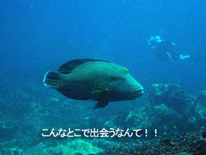 久々のシミランは?_f0144385_215556.jpg