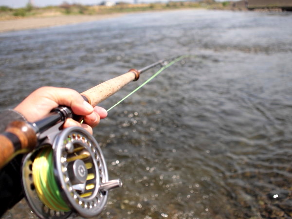 キャスレのつもりがマルタ釣り Spey Bum キャスレのつもりがマルタ釣り Spey Bum