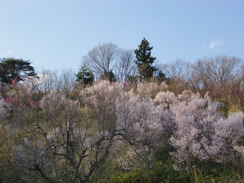 e0145589_2110676.jpg