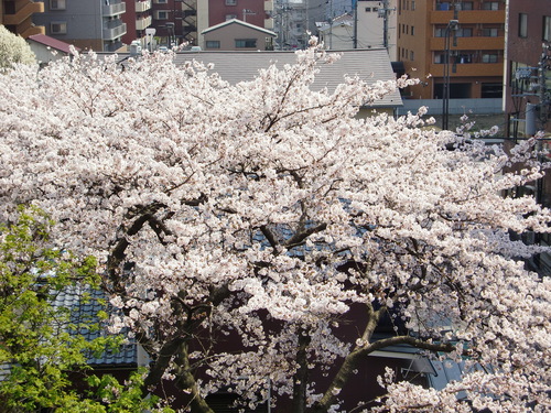 e0145589_2182914.jpg