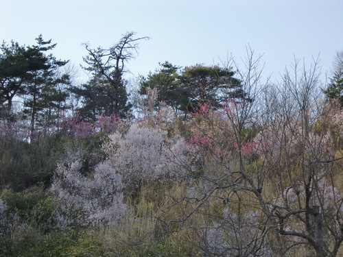 e0145589_2194793.jpg