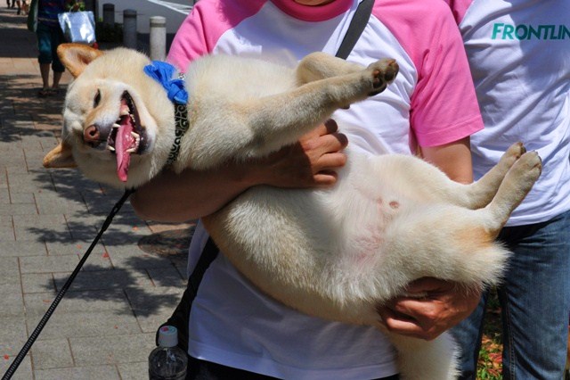 楽しい楽しいお花見でした!_a0126590_4545444.jpg