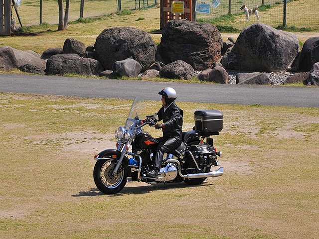 b0196590_1626710.jpg