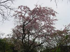 f0079990_7442911.jpg