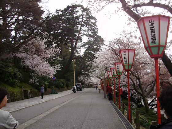 今年も３人で桜を愛でる_e0014991_1827154.jpg
