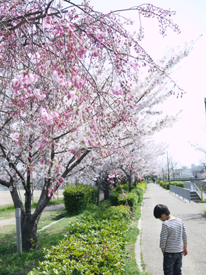a0150193_1244023.gif