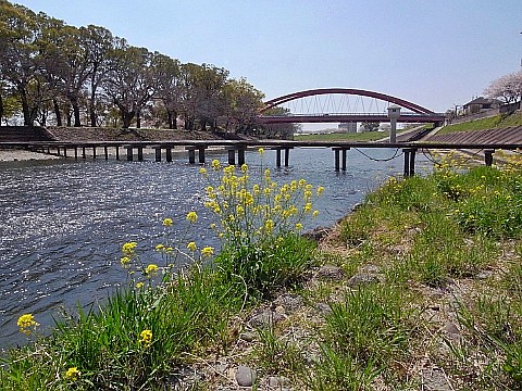 船小屋温泉の流れ橋（がたがた橋）_e0176993_13311793.jpg