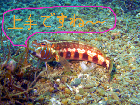 e0115199_14464882.jpg