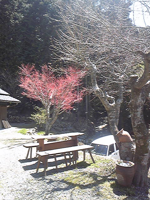 e0197602_1134410.jpg