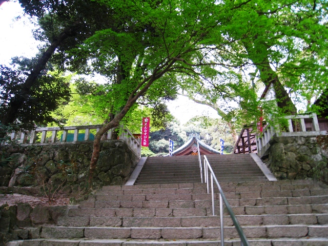a0097006_0373036.jpg