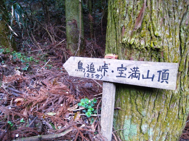 a0097006_0405863.jpg