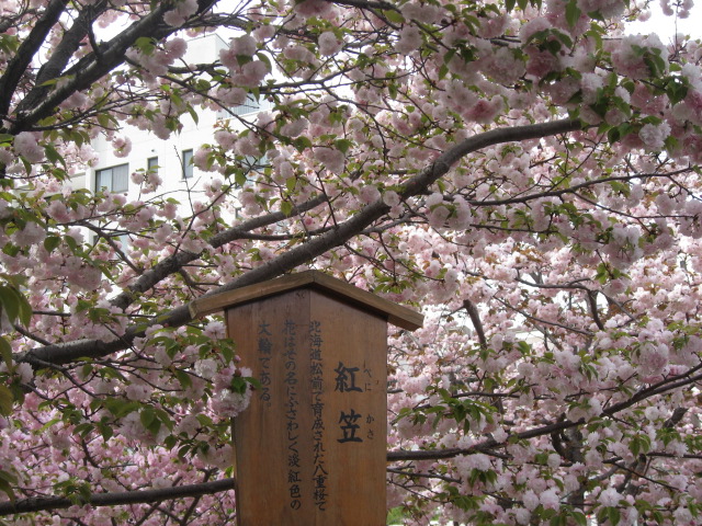 a0100706_21563123.jpg