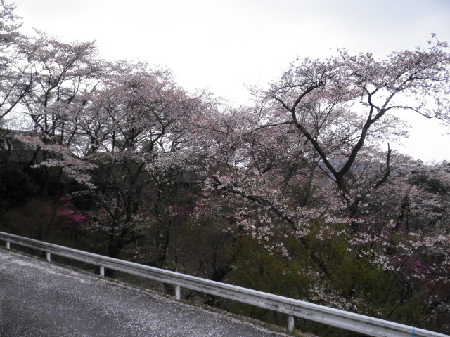 c0152507_027255.jpg