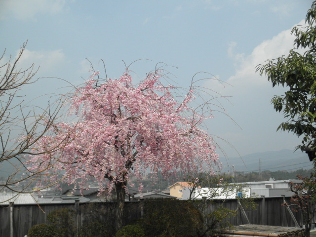 c0152507_029985.jpg