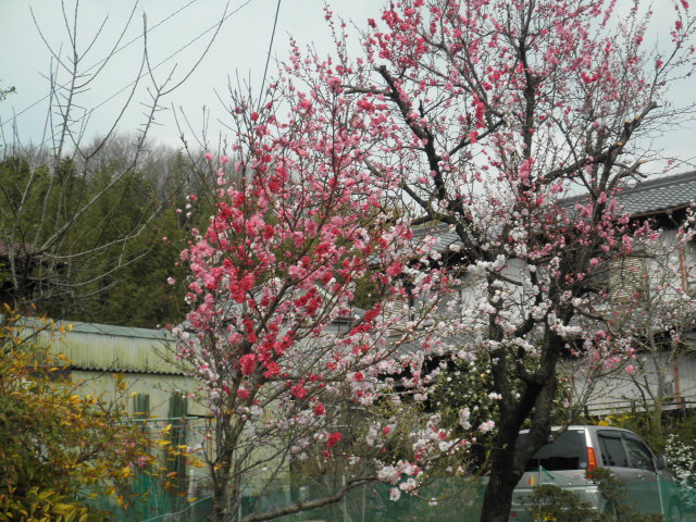 c0152507_0313638.jpg