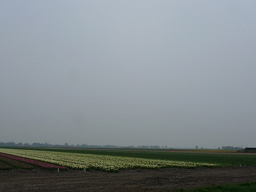 a0187808_9175650.jpg