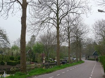 a0187808_9283386.jpg