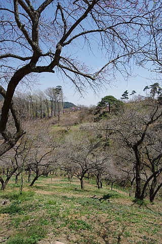 c0156908_22305987.jpg