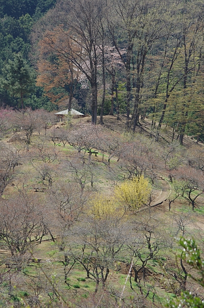 c0156908_22312074.jpg