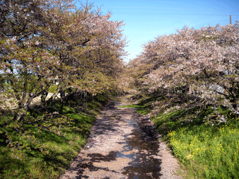 b0000209_21103974.gif