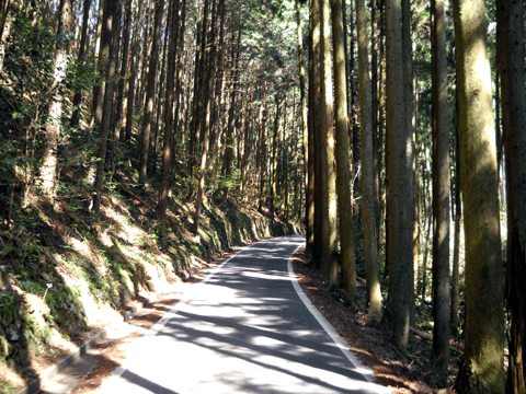 b0000209_2133461.gif