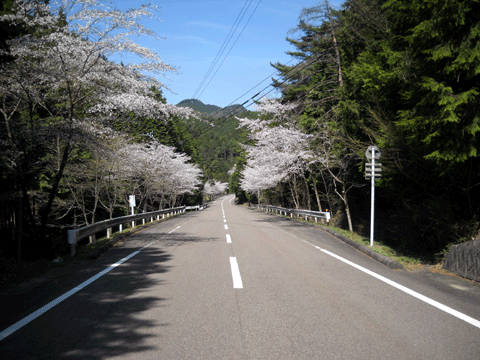 b0000209_21355353.gif