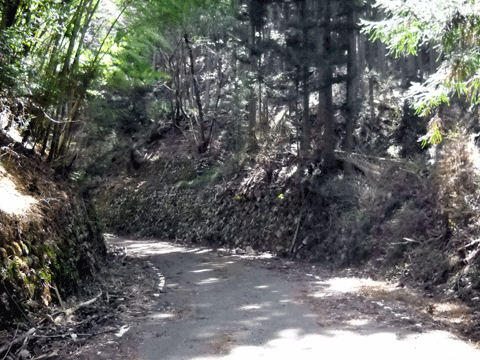 b0000209_21373099.gif
