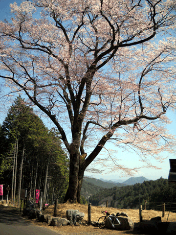 b0000209_21381220.gif