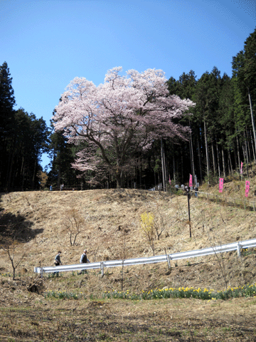 b0000209_21413330.gif