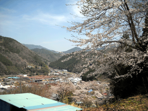 b0000209_2146170.gif