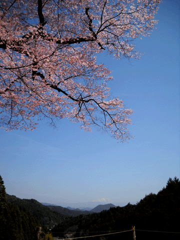 b0000209_2155675.gif